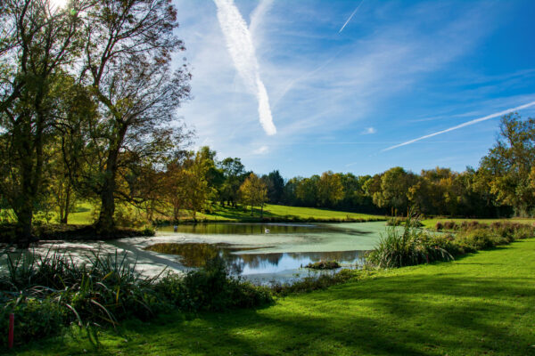 Terrain de golf avec étang