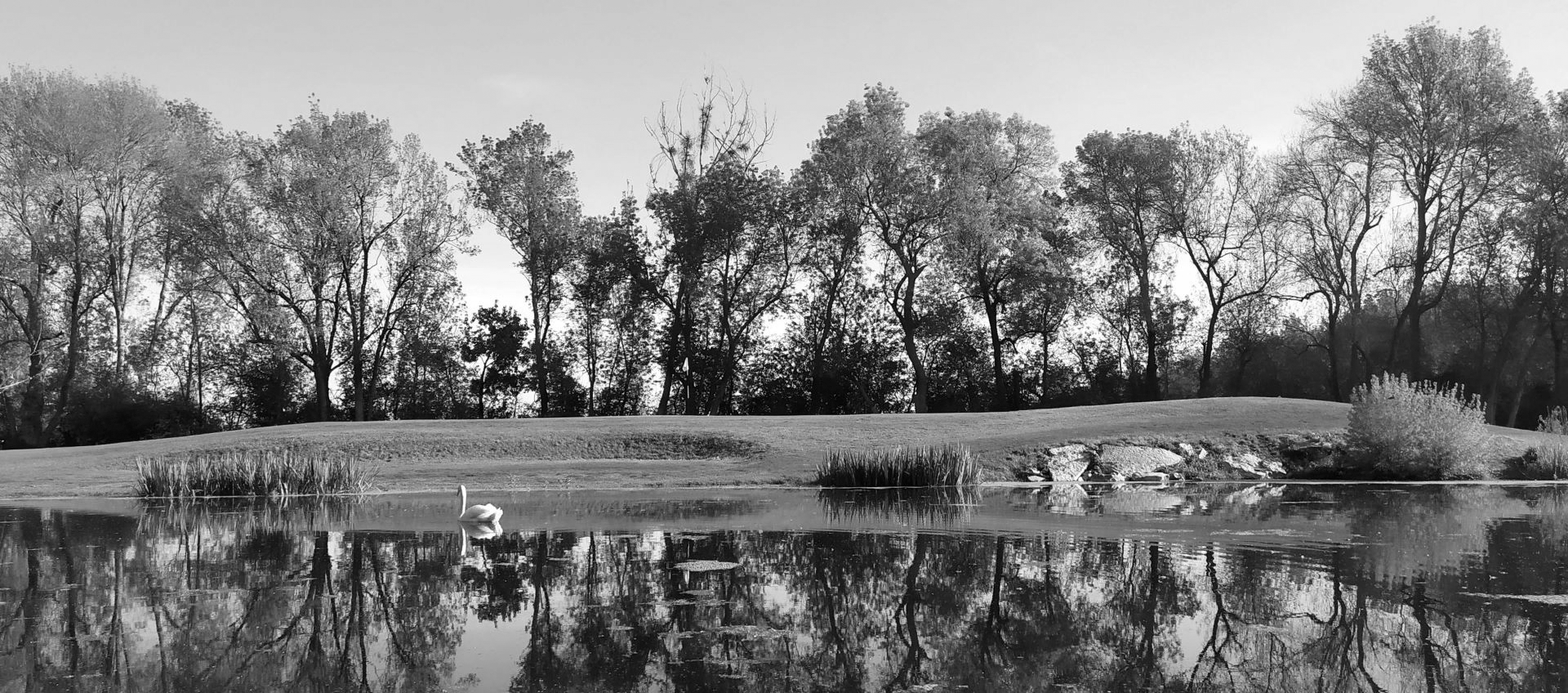 golf-angers-plan-d-eau-noir-et-blanc